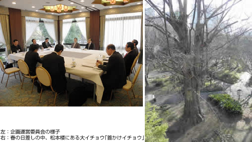 左:企画運営委員会の様子 右:春の日差しの中、松本楼にある大イチョウの「首かけイチョウ」